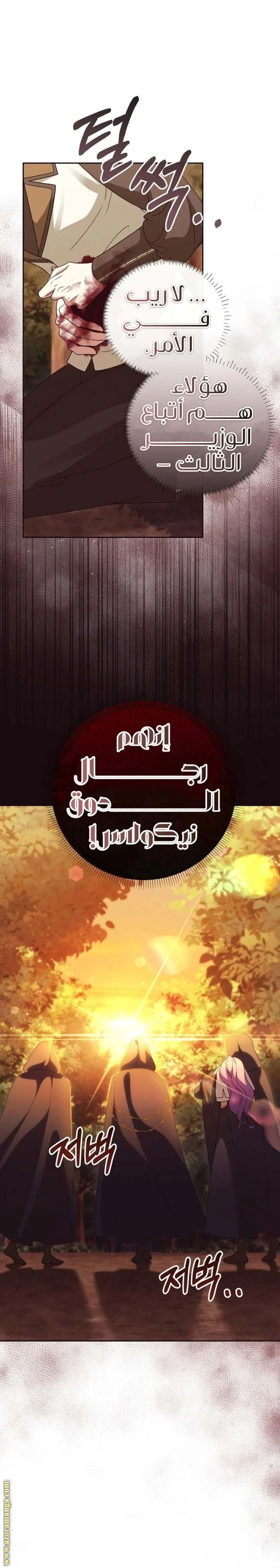 الصفحة 19