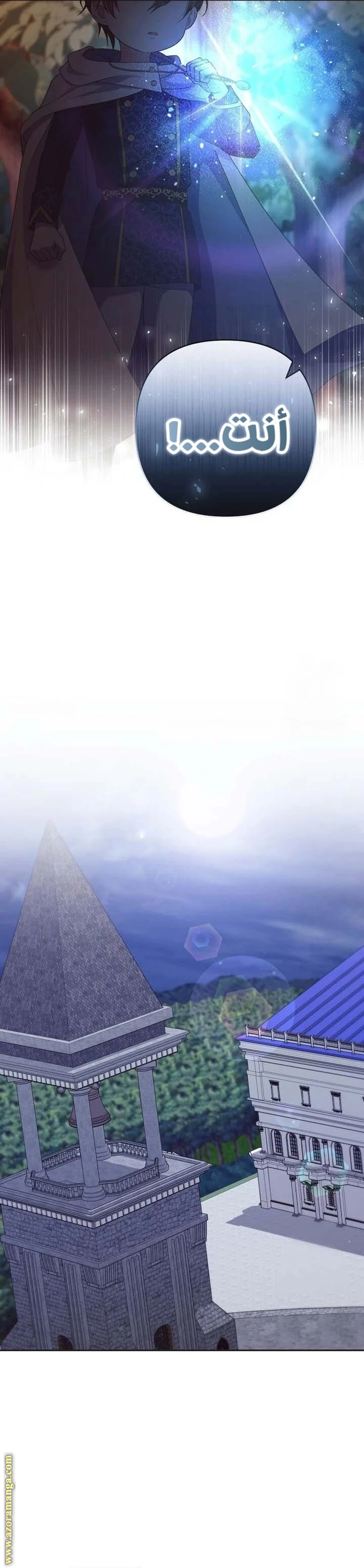 الصفحة 21