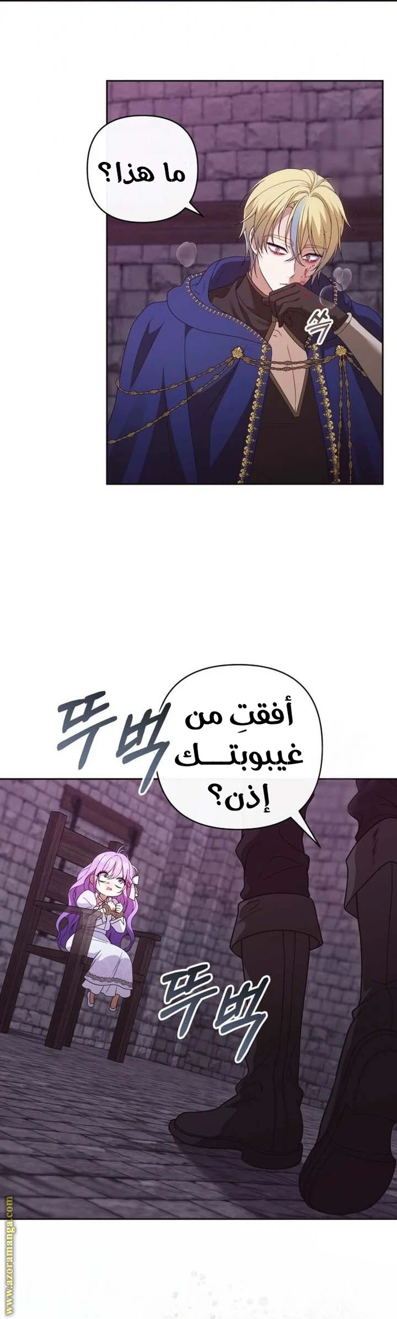 الصفحة 25