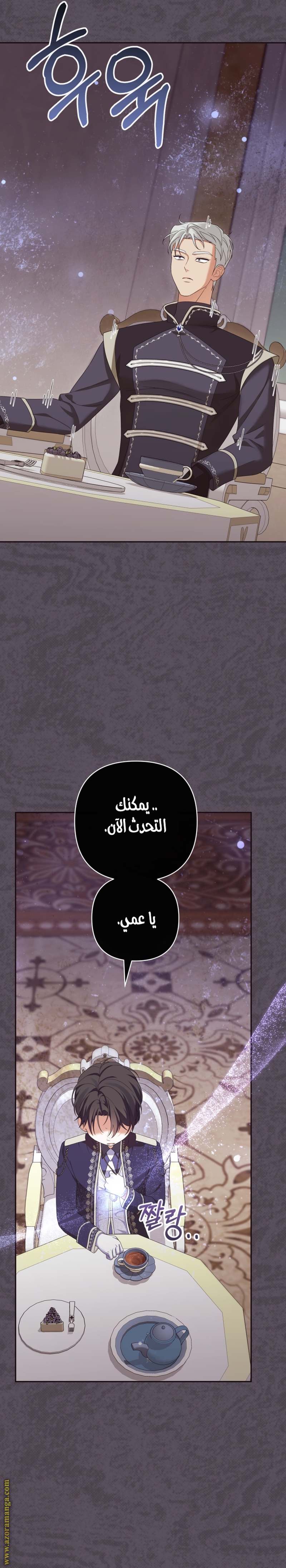 الصفحة 26