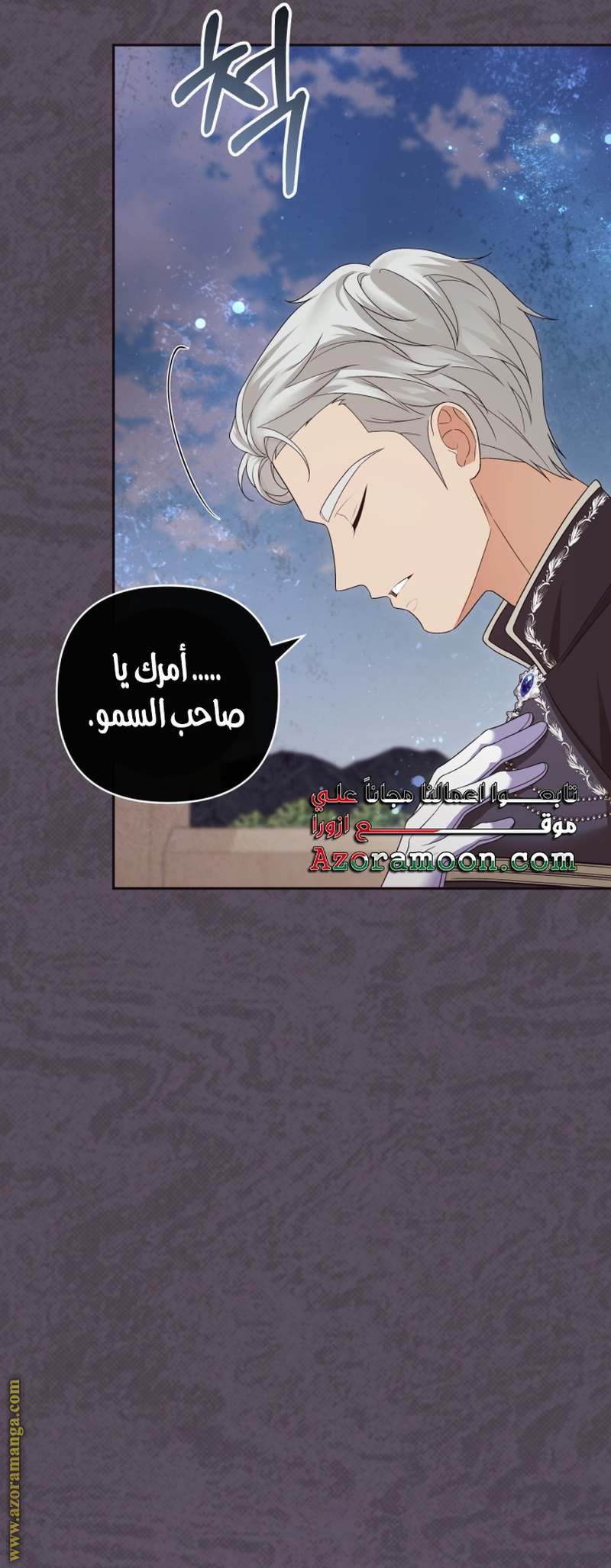 الصفحة 27