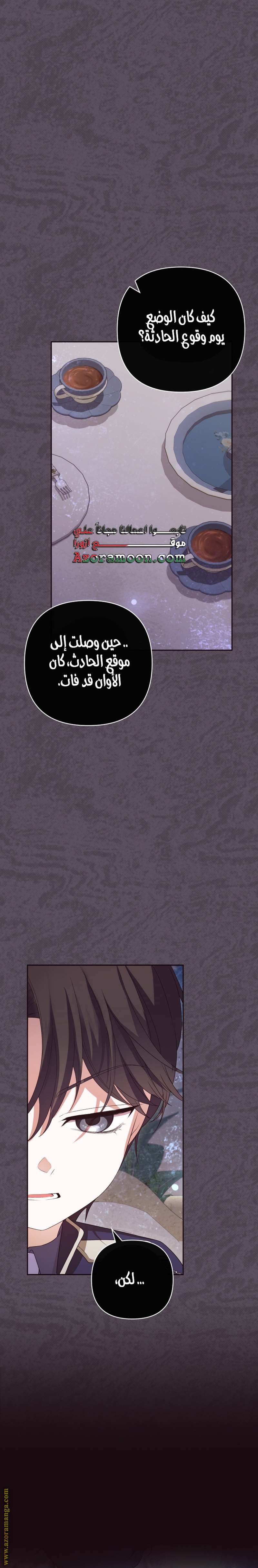 الصفحة 29