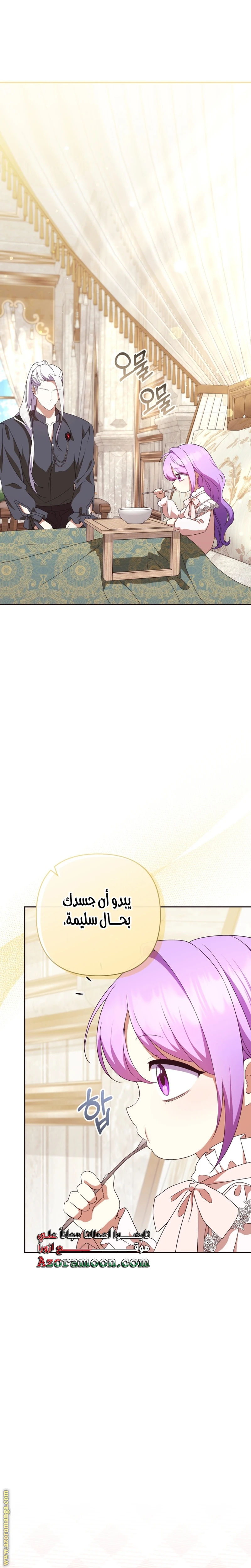 الصفحة 27