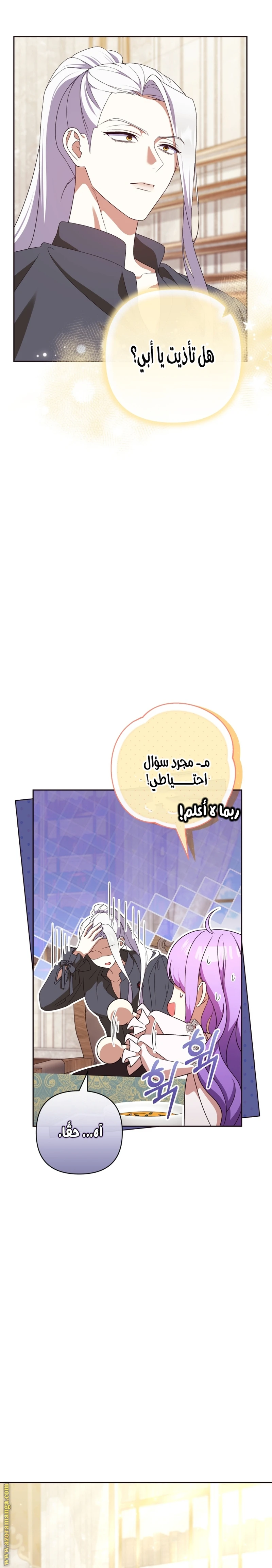 الصفحة 29