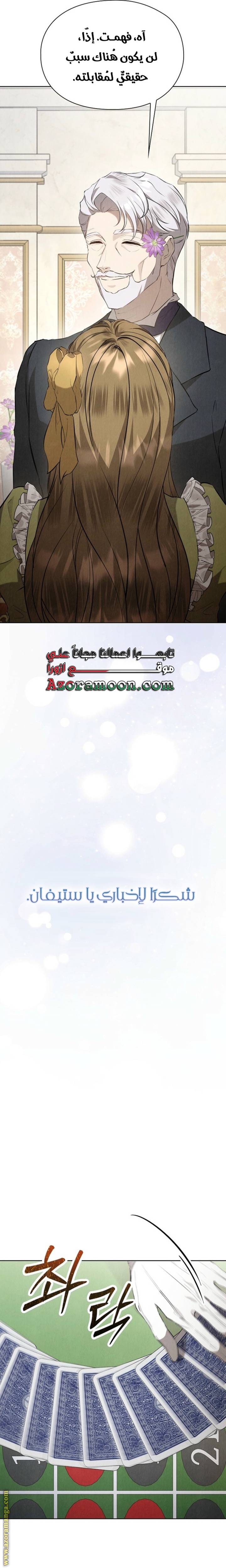 الصفحة 17