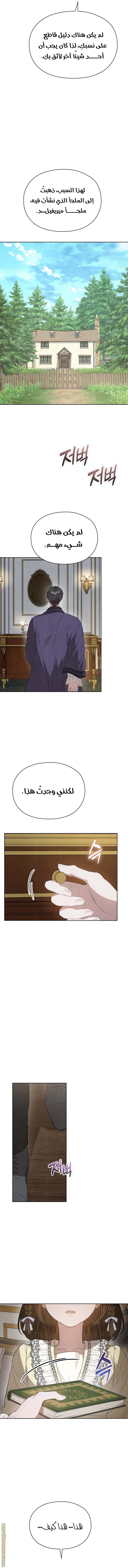 الصفحة 13