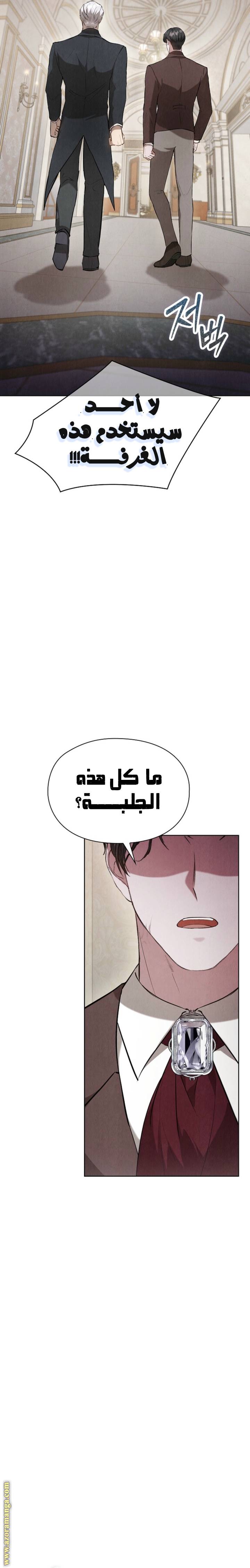 الصفحة 13