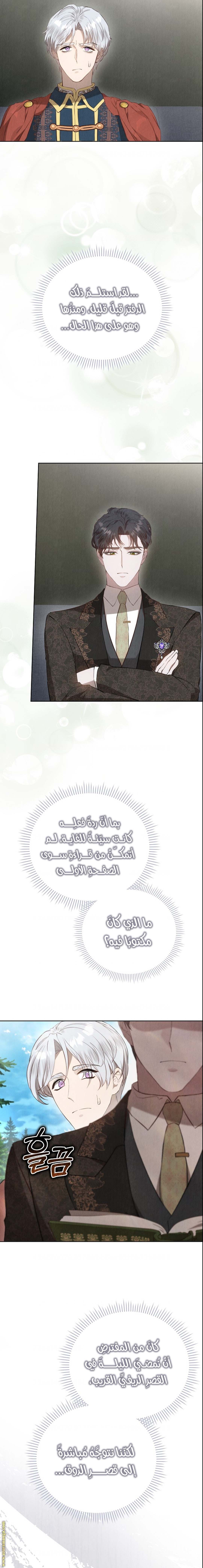 الصفحة 11