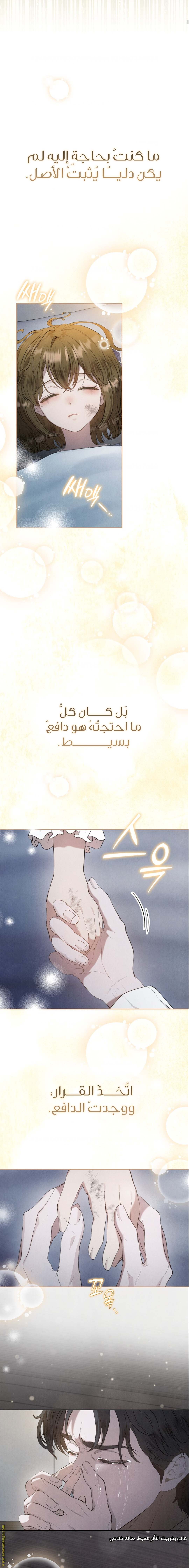 الصفحة 21