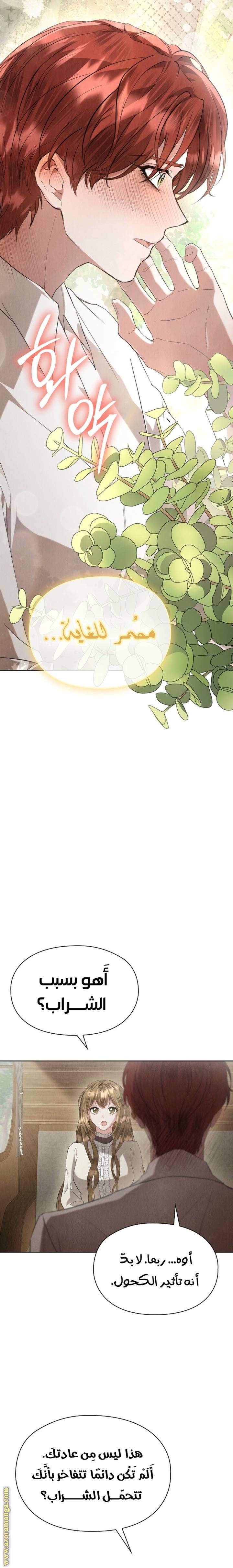 الصفحة 13