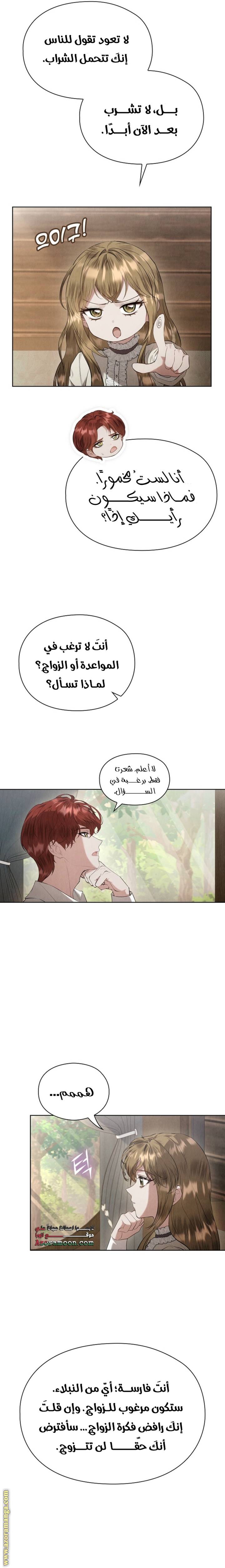 الصفحة 19