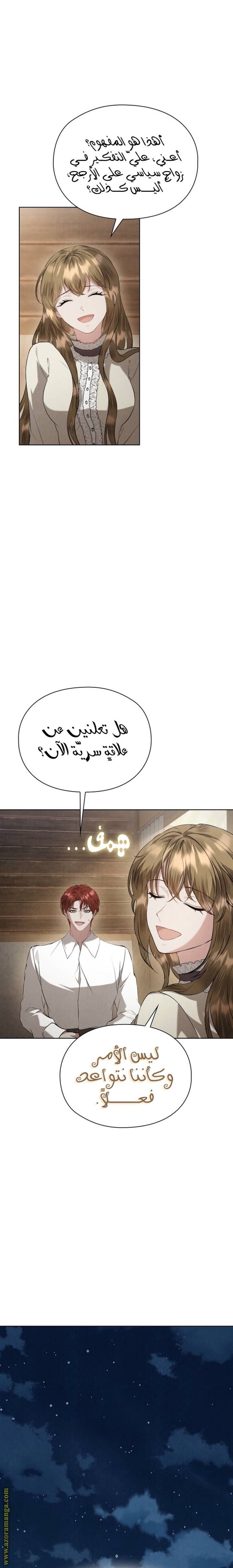 الصفحة 27