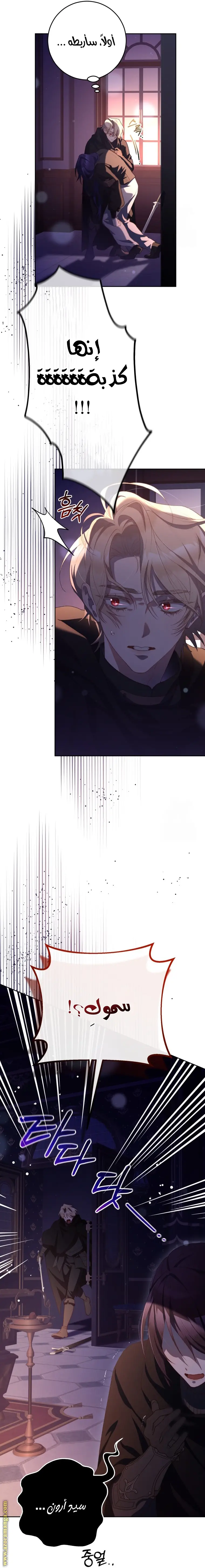 الصفحة 14