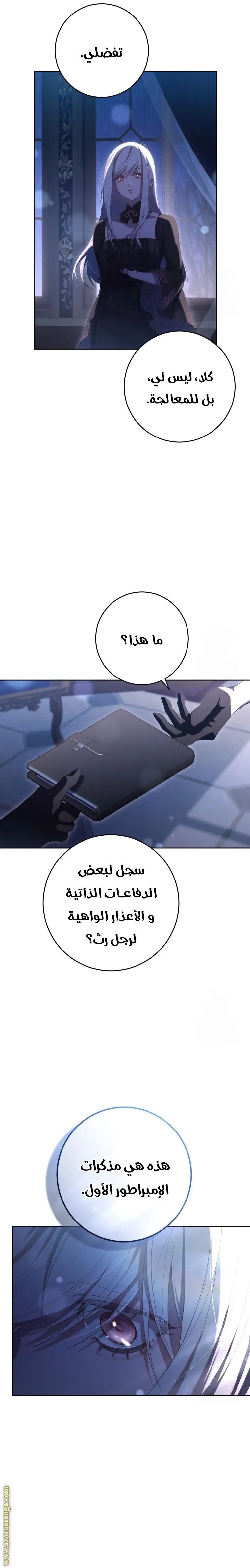 الصفحة 21