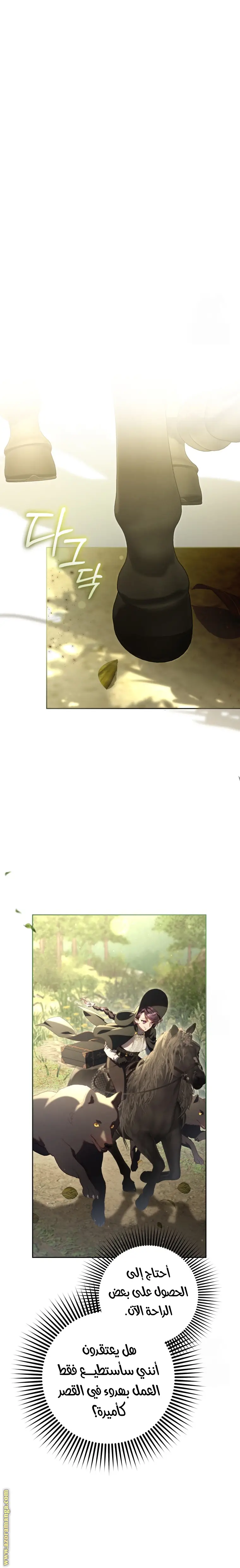 الصفحة 19