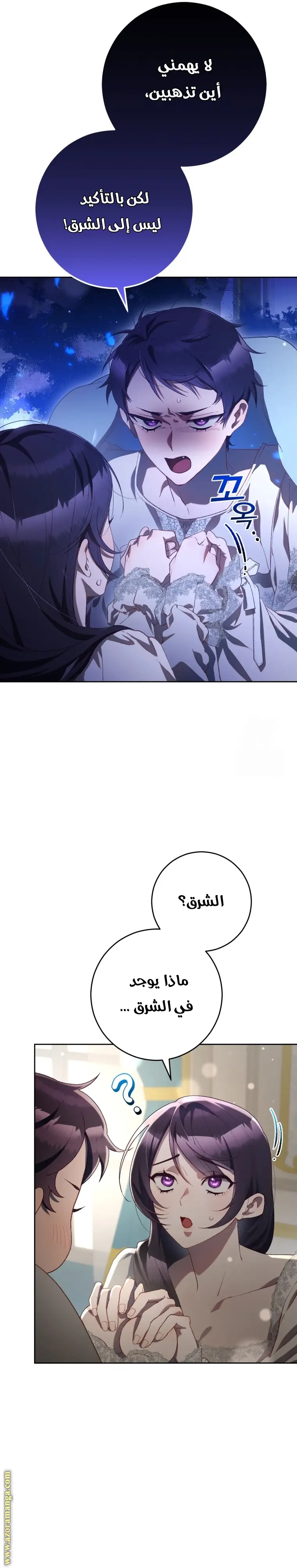 الصفحة 14