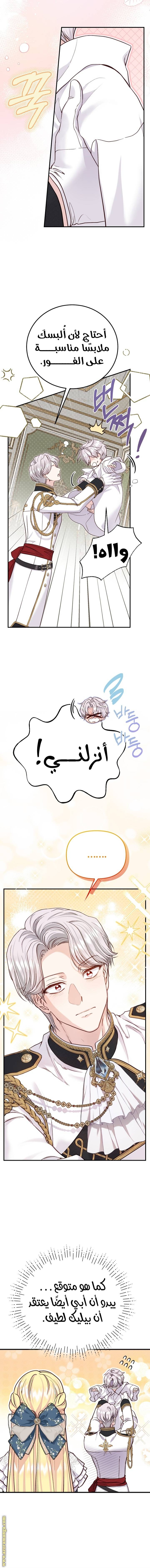 الصفحة 8