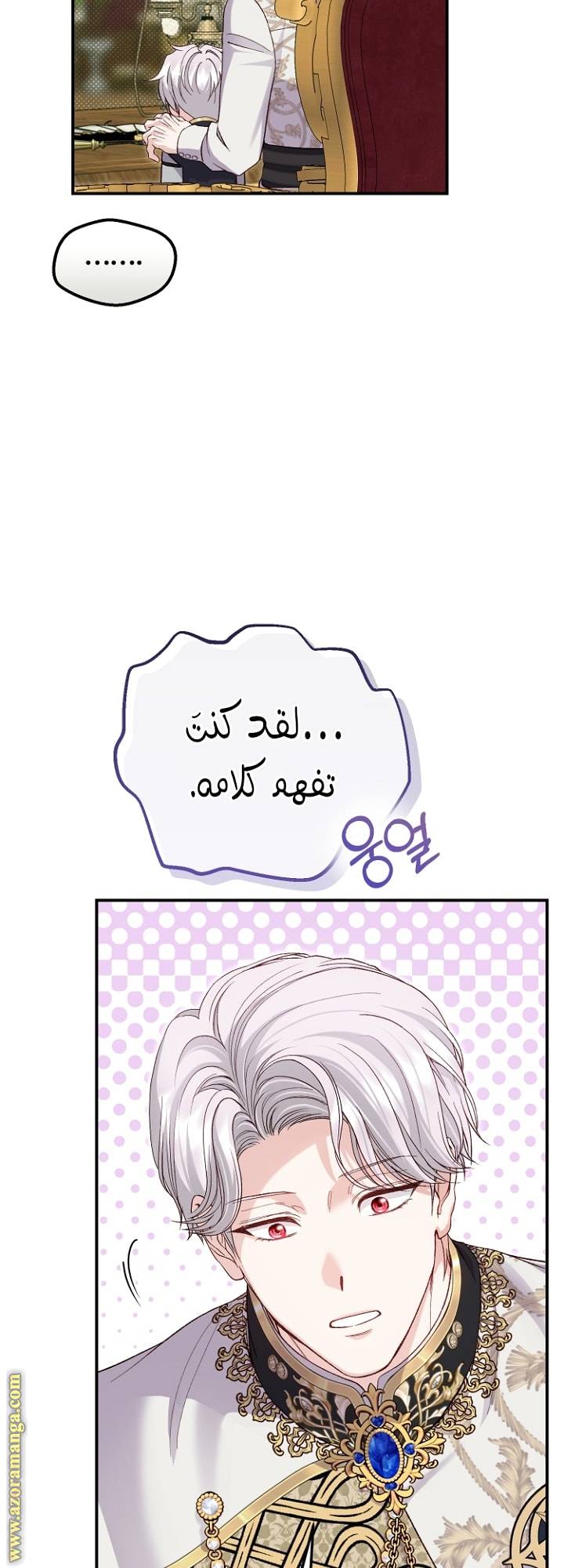 الصفحة 17
