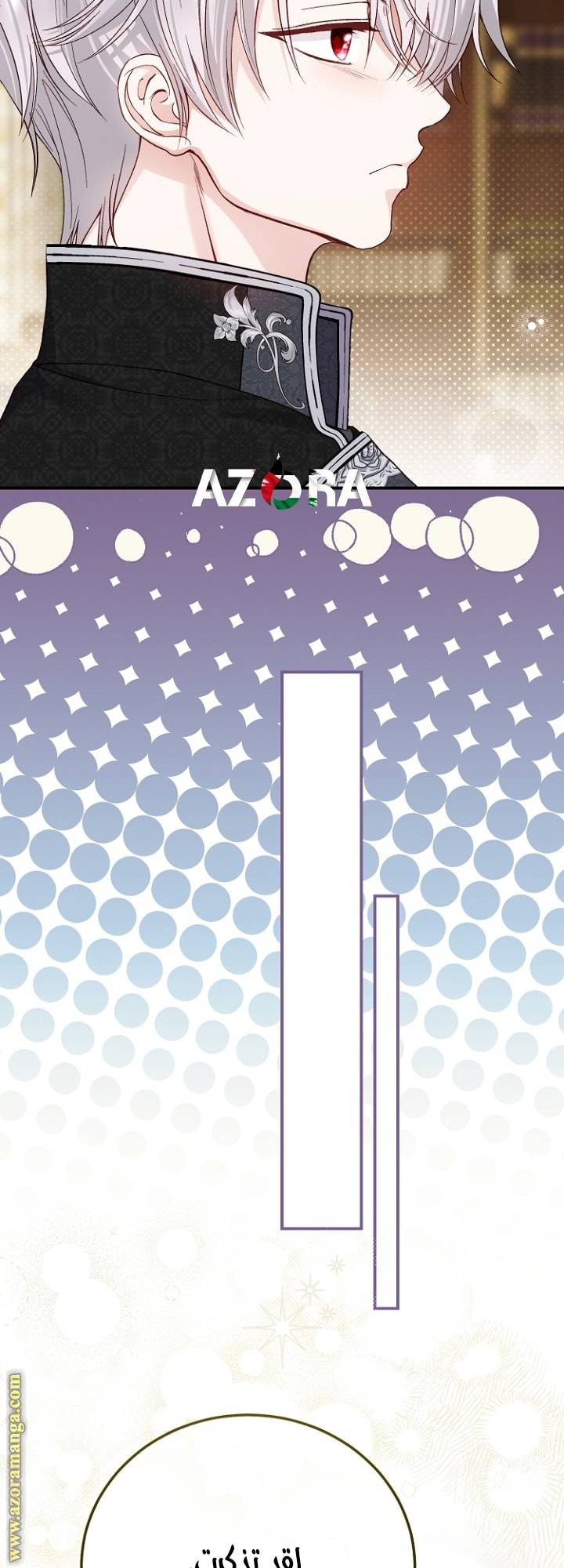 الصفحة 25