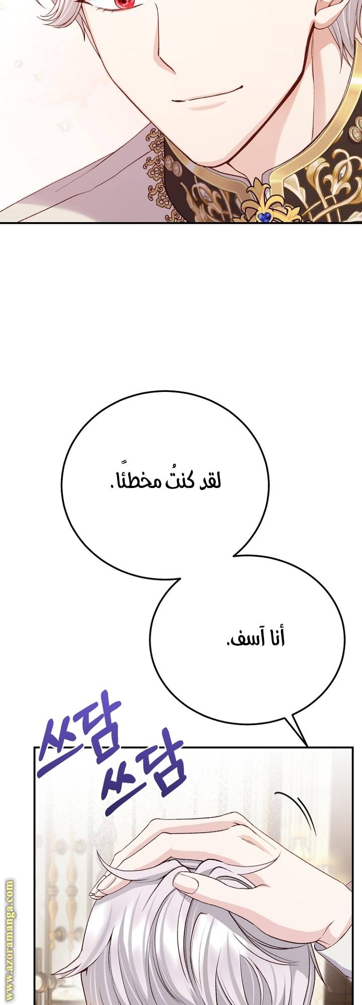 الصفحة 27