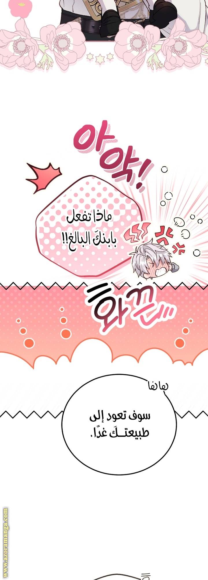 الصفحة 29