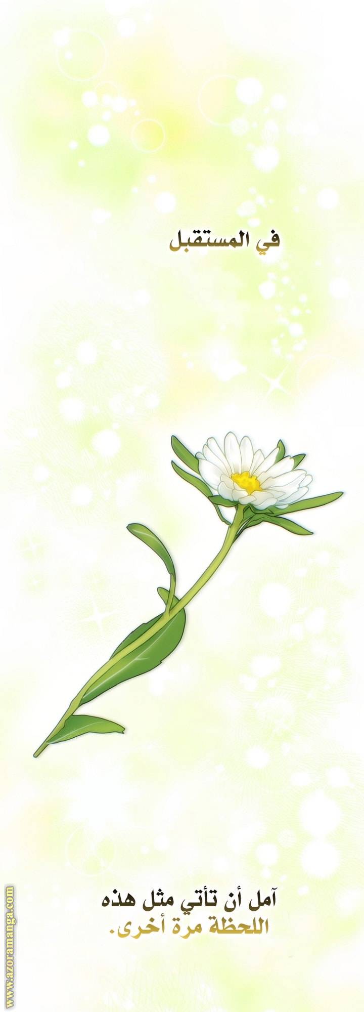 الصفحة 38