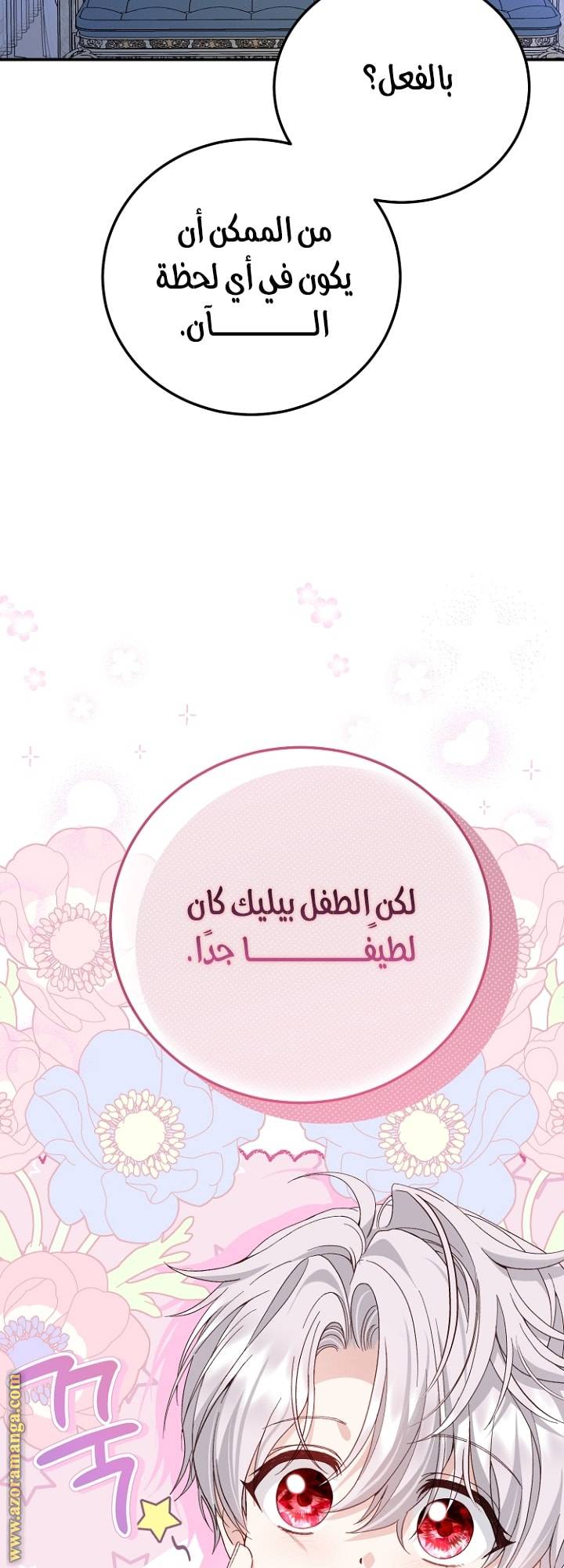 الصفحة 41