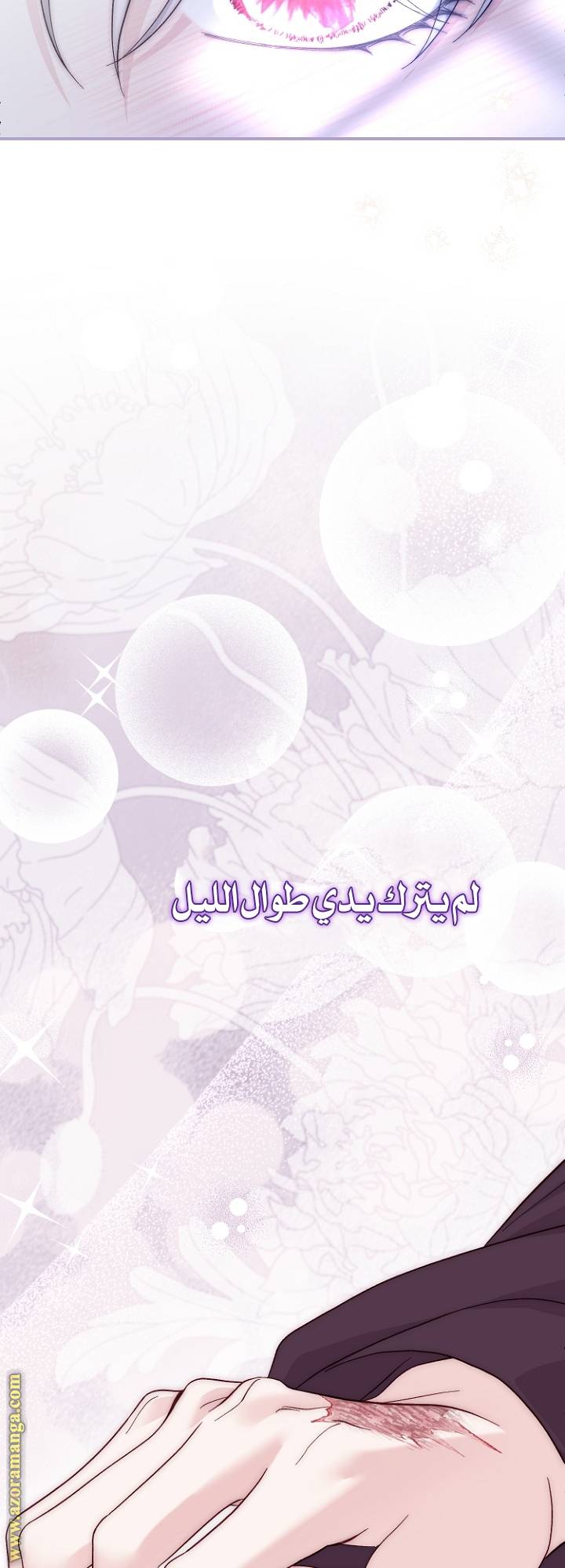 الصفحة 21