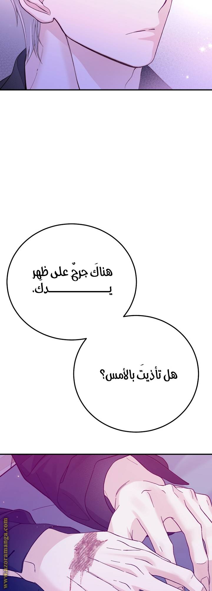 الصفحة 27