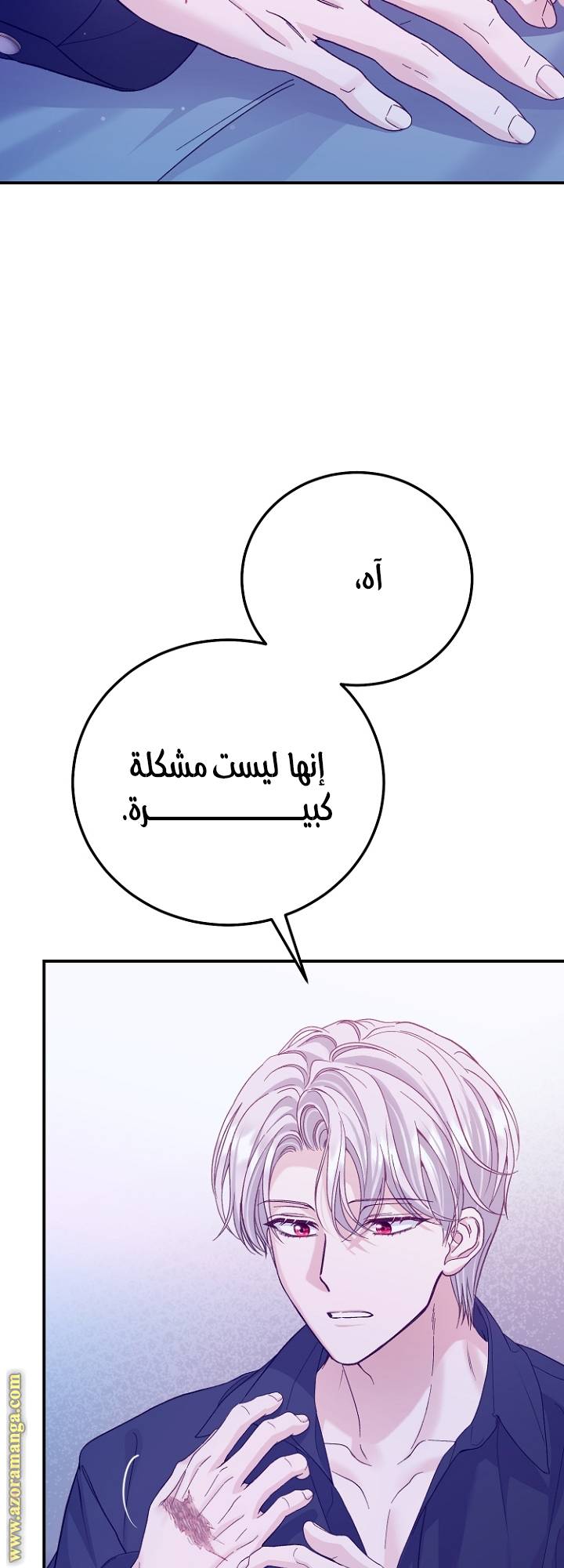 الصفحة 28