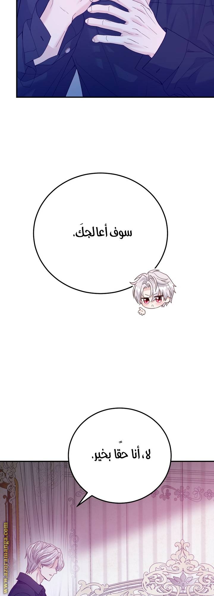 الصفحة 29