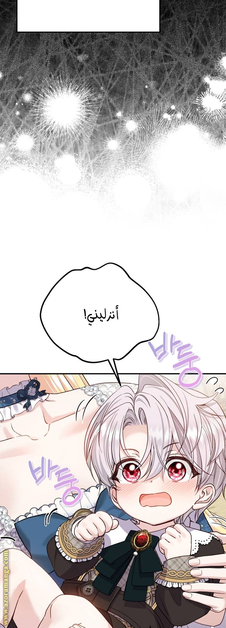 الصفحة 21