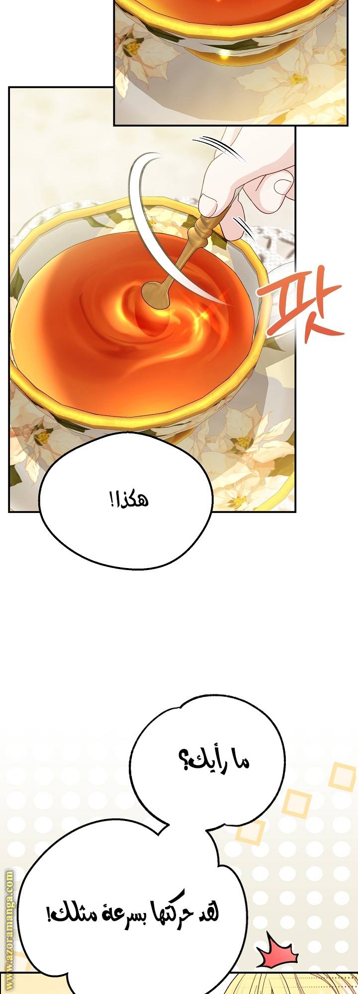 الصفحة 19