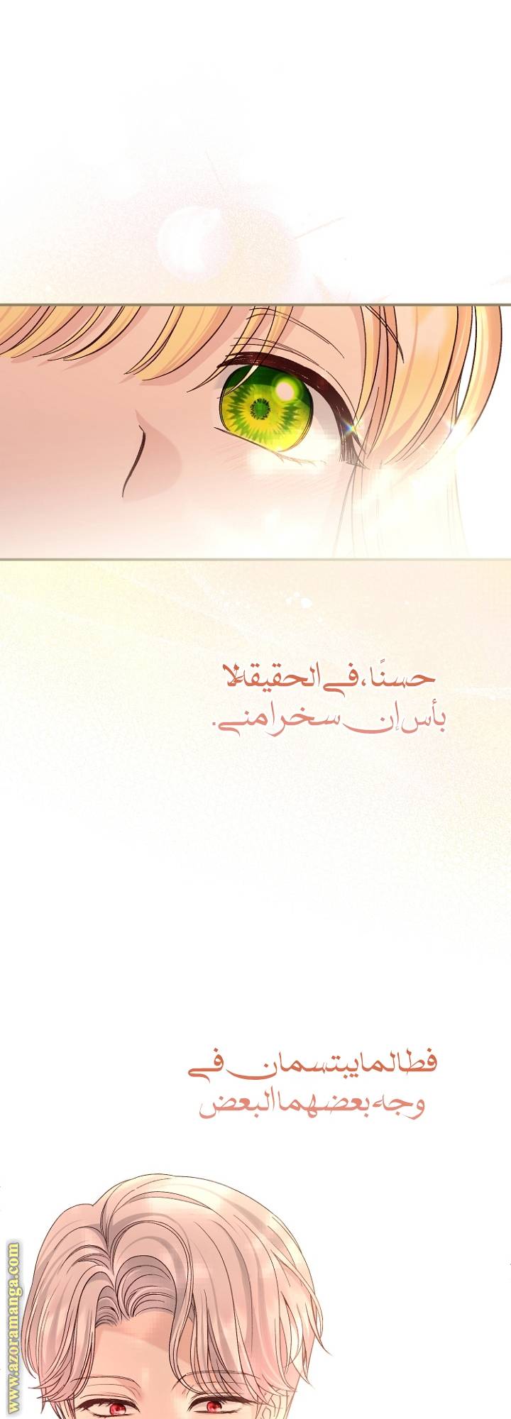 الصفحة 24