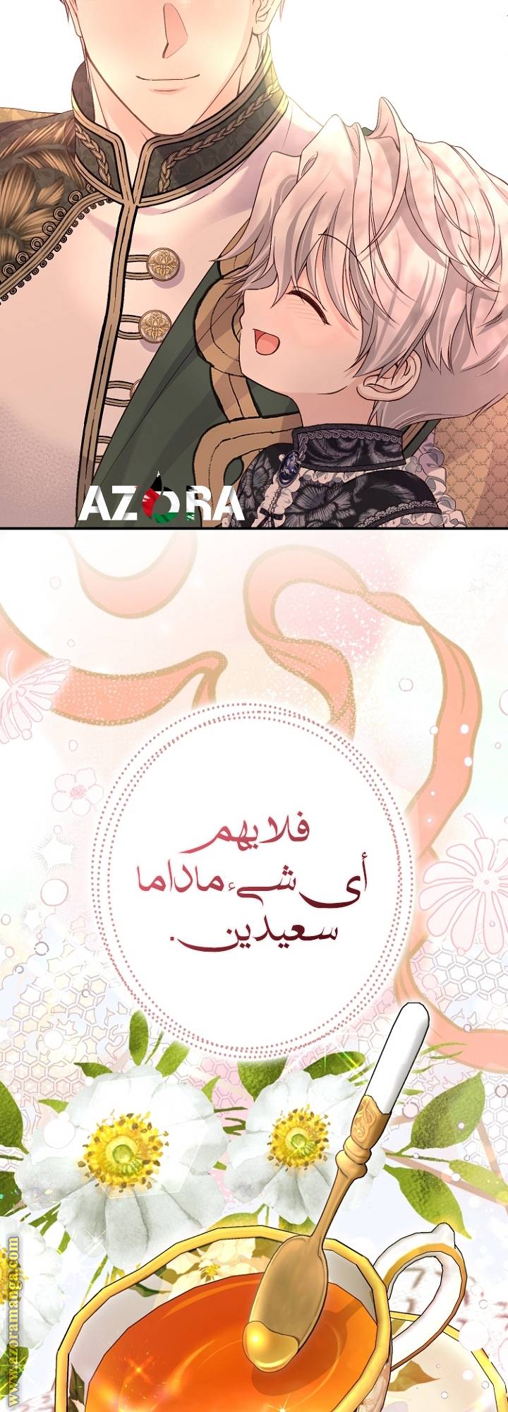 الصفحة 25