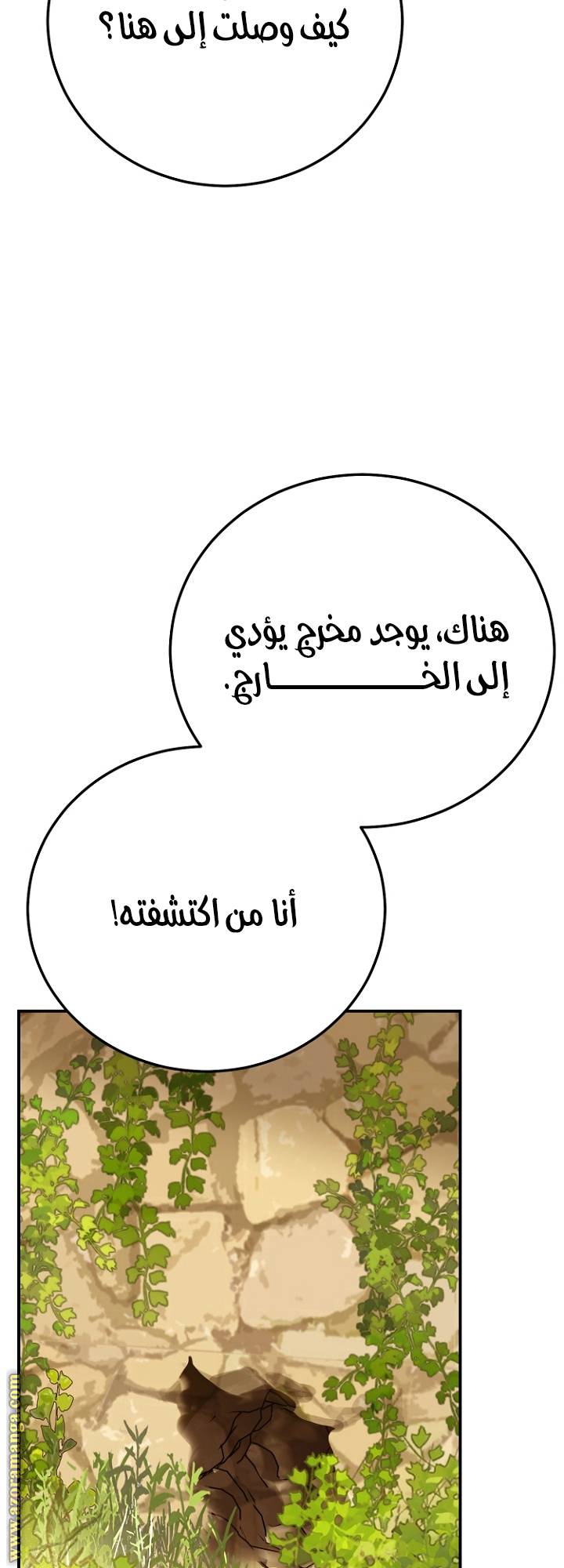الصفحة 19