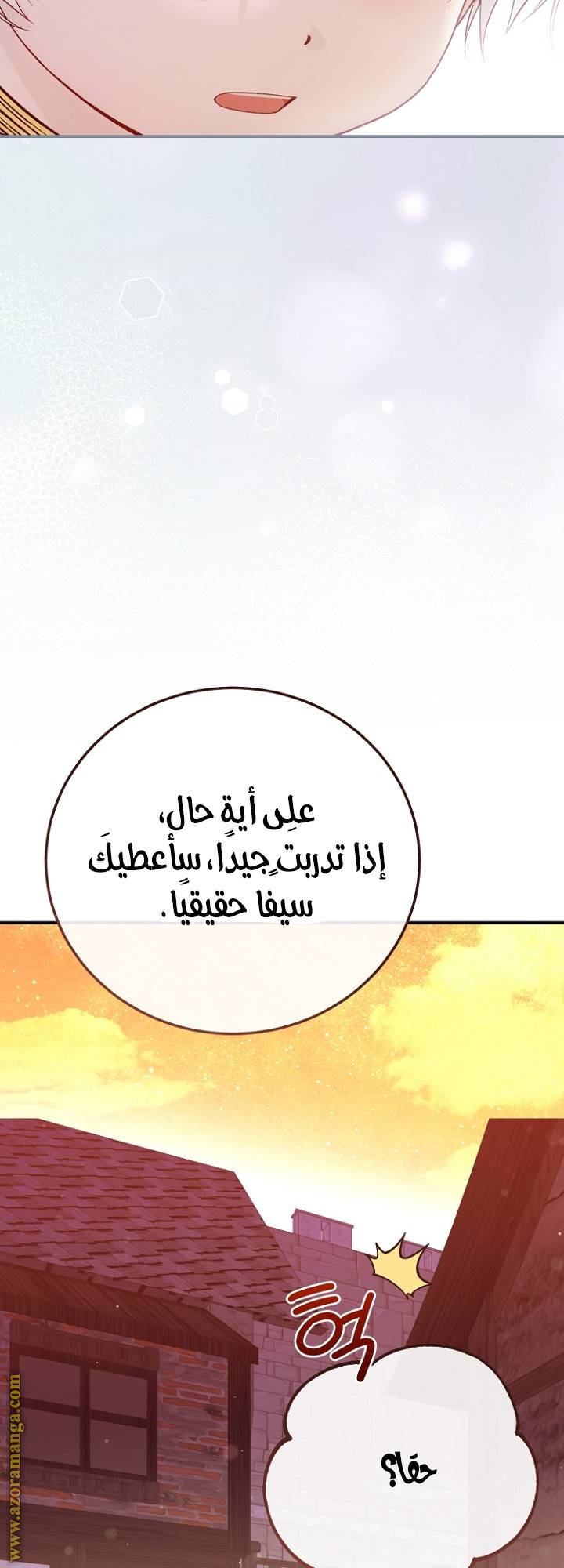 الصفحة 43