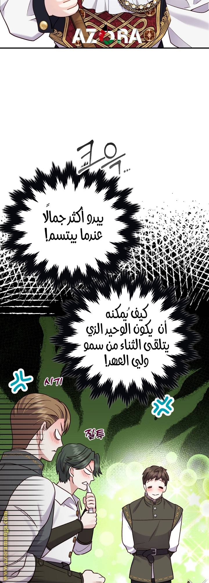 الصفحة 29