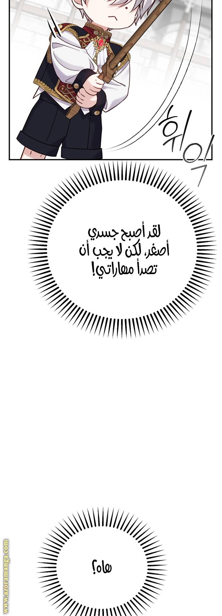 الصفحة 31