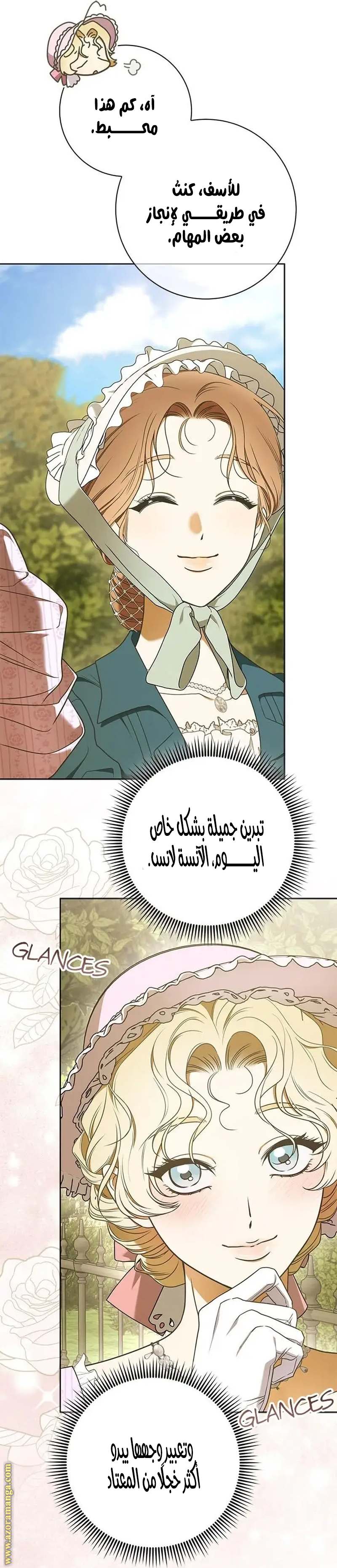 الصفحة 17