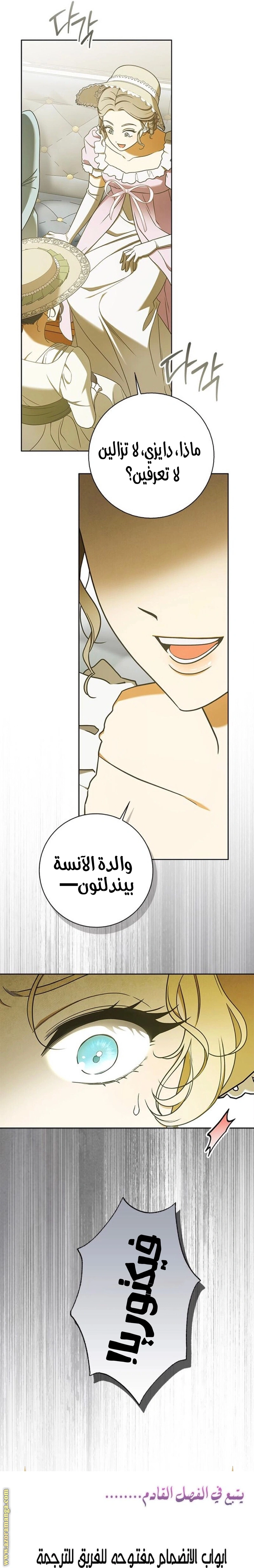 الصفحة 25