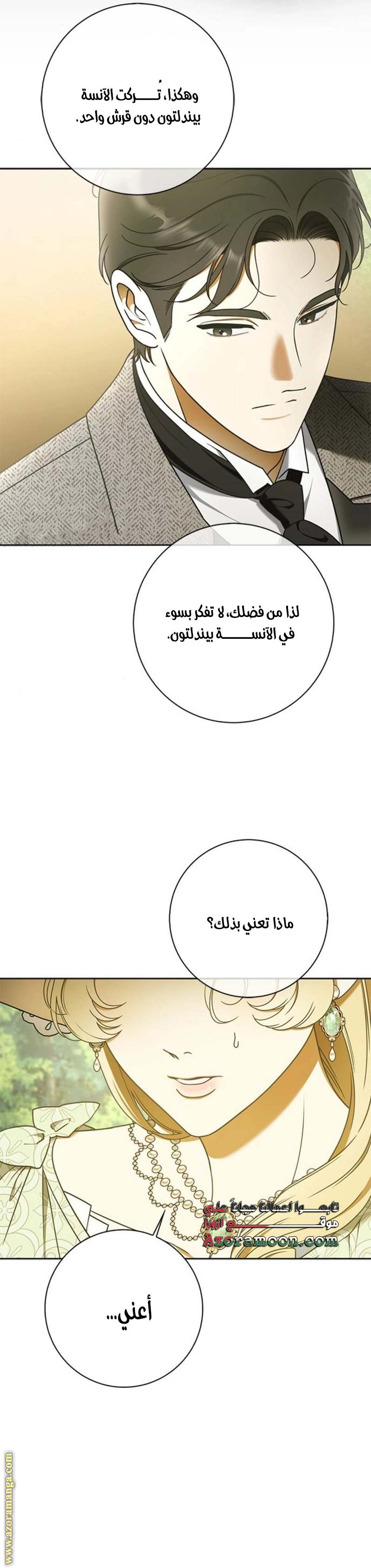 الصفحة 17