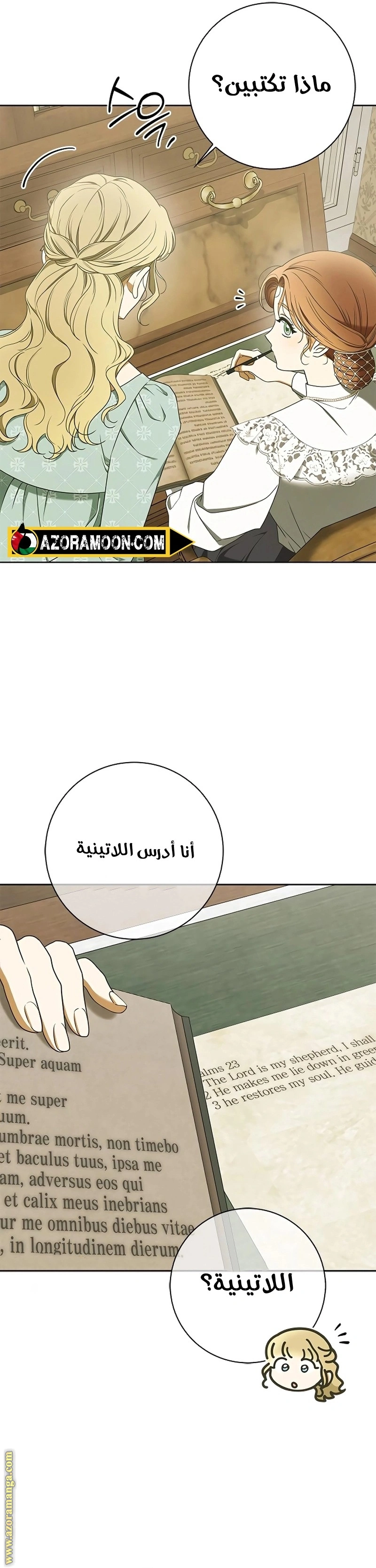 الصفحة 27