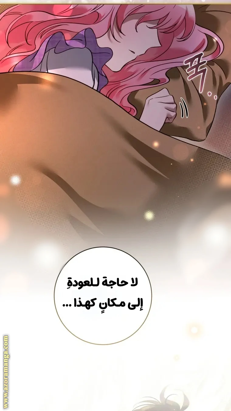 الصفحة 25