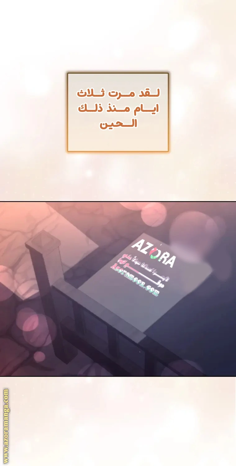 الصفحة 31