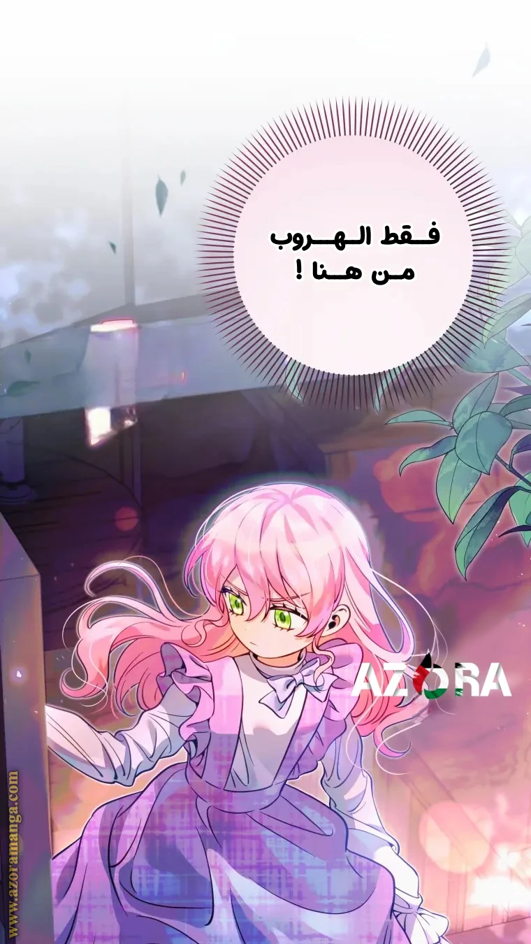 الصفحة 38