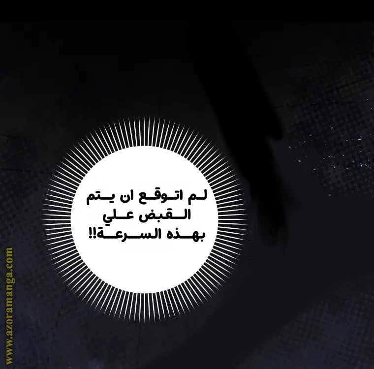 الصفحة 46