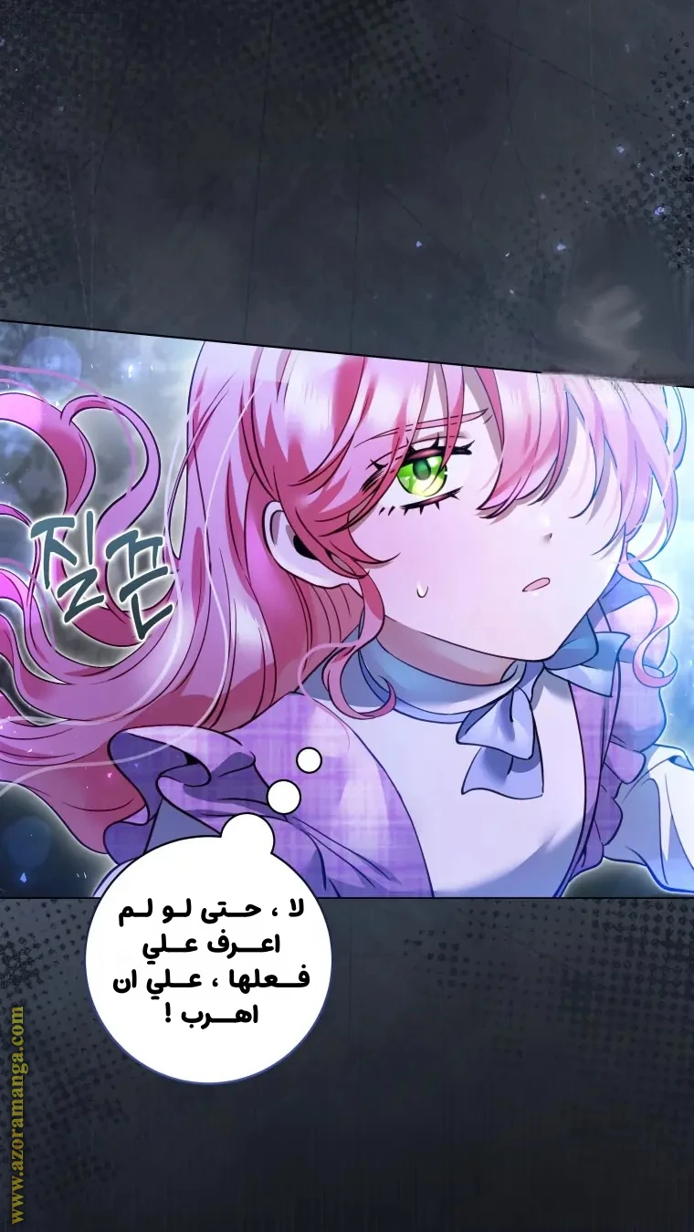 الصفحة 49