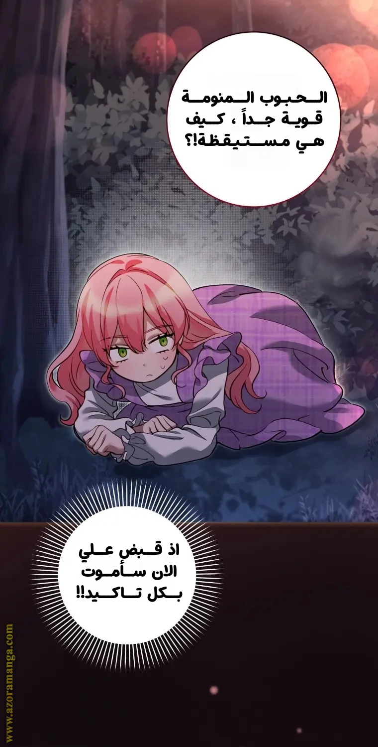 الصفحة 55
