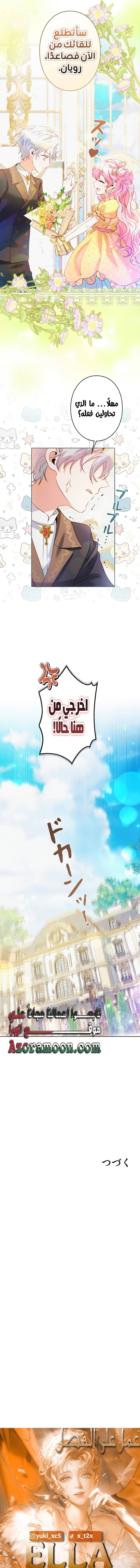 الصفحة 11